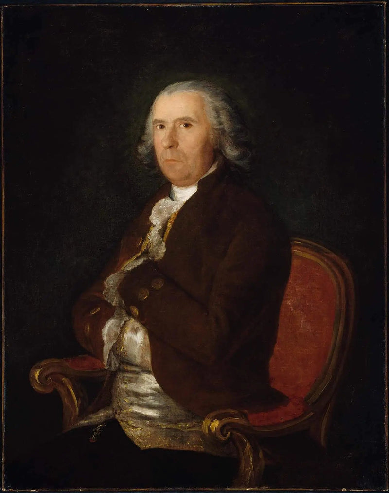 Retrato de un hombre con abrigo marrón - Francisco de Goya