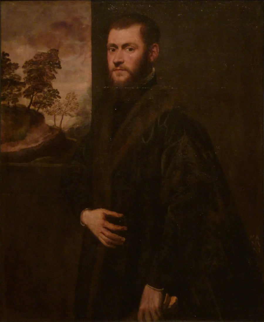 Retrato de un joven caballero - Jacopo Tintoretto