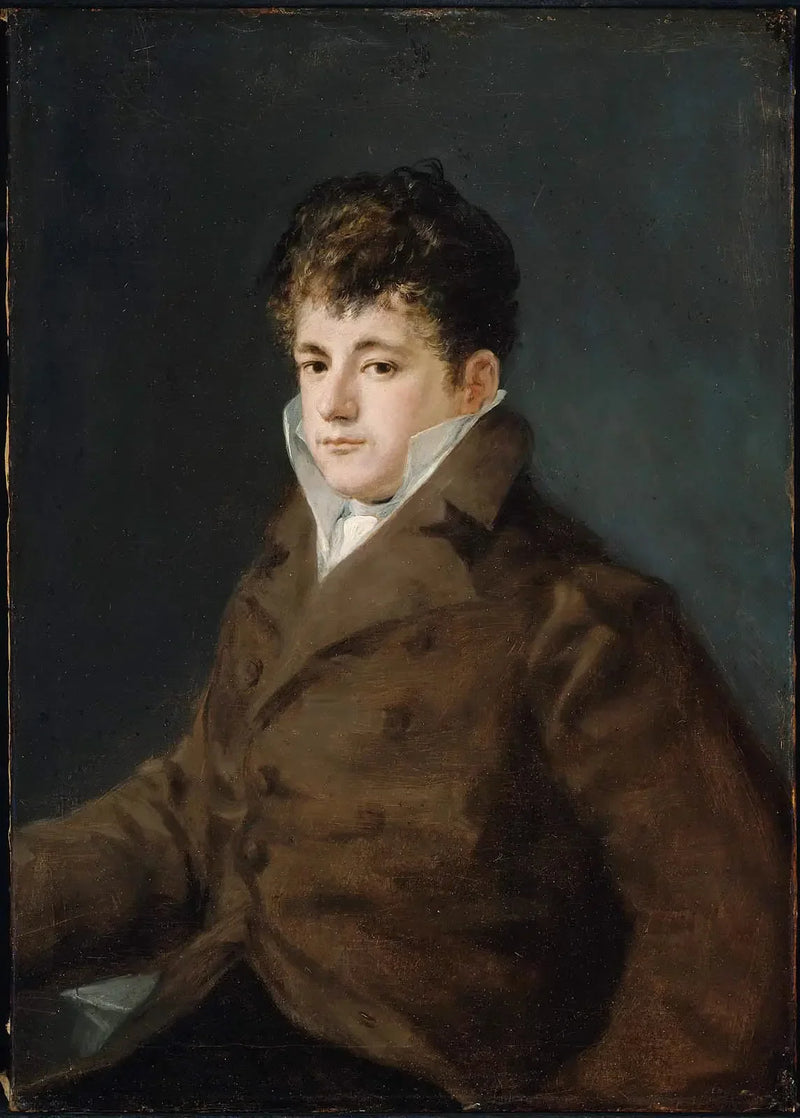 Retrato de un joven en marrón, quizás Javier Goya - Francisco de Goya