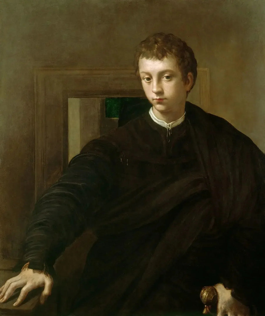 Retrato de un joven noble - Parmigianino