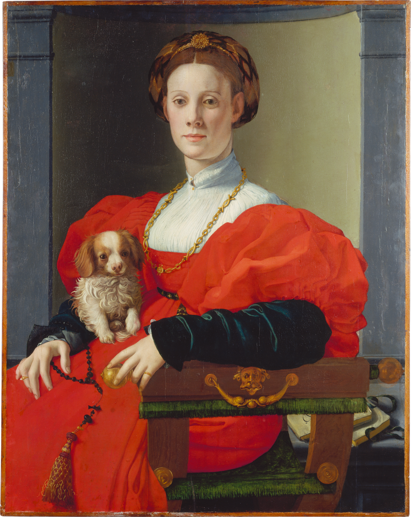 Retrato de una dama con un perro de compañía - Bronzino