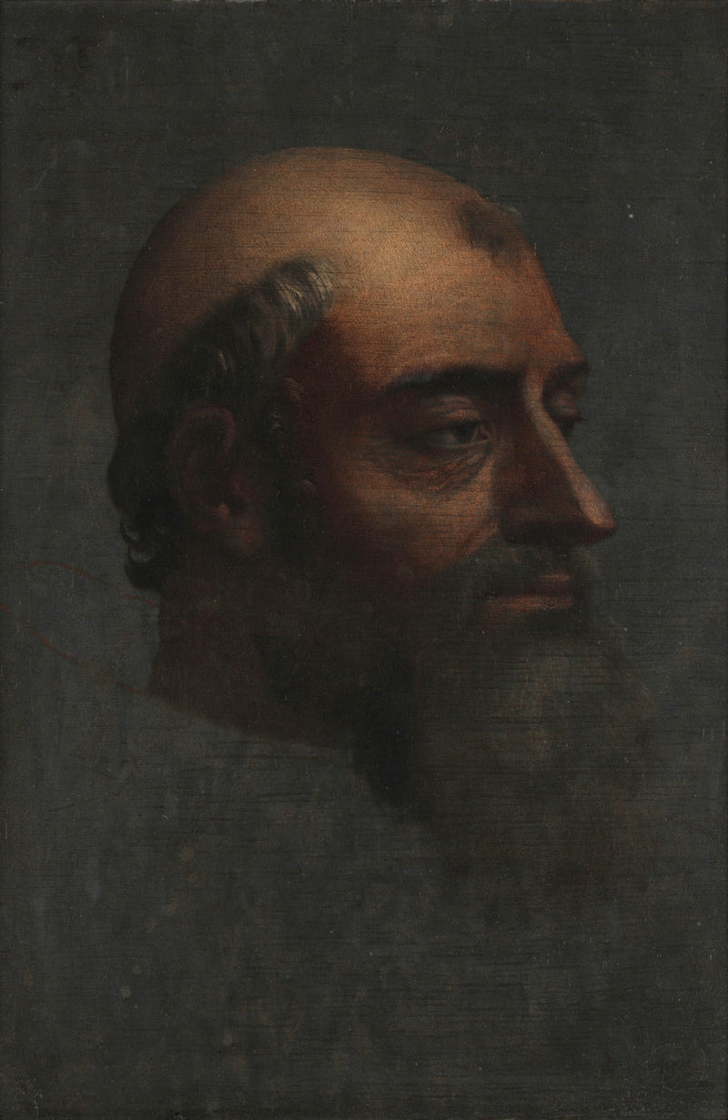 Retrato de Clemente VII con barba - Sebastiano del Piombo