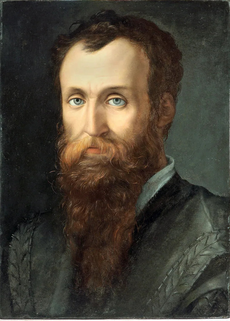 Retrato de Luca Martini - Bronzino