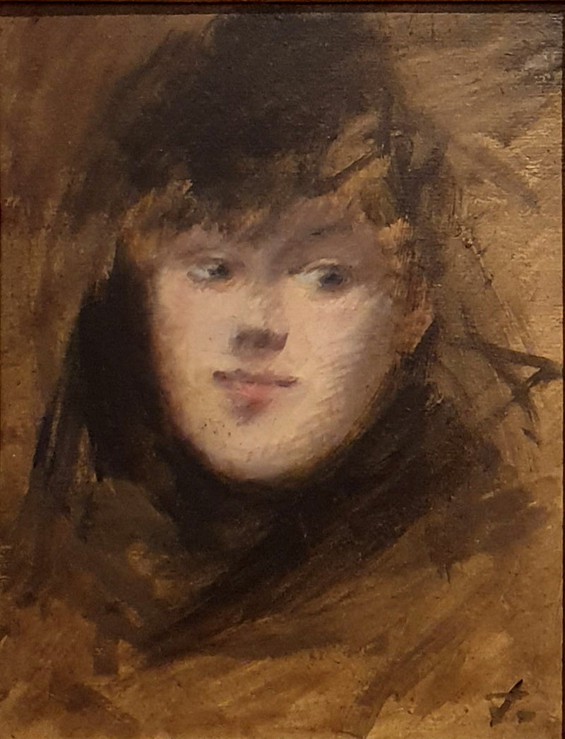 Retrato de la Sra. N - Jean-Louis Forain