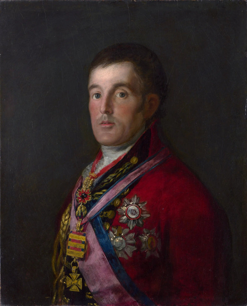 Retrato del duque de Wellington - Francisco de Goya