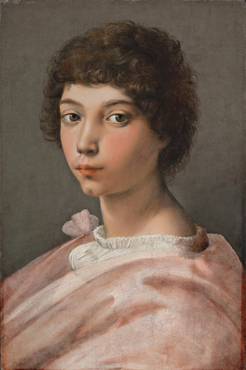 Retrato de un joven - Rafael Sanzio