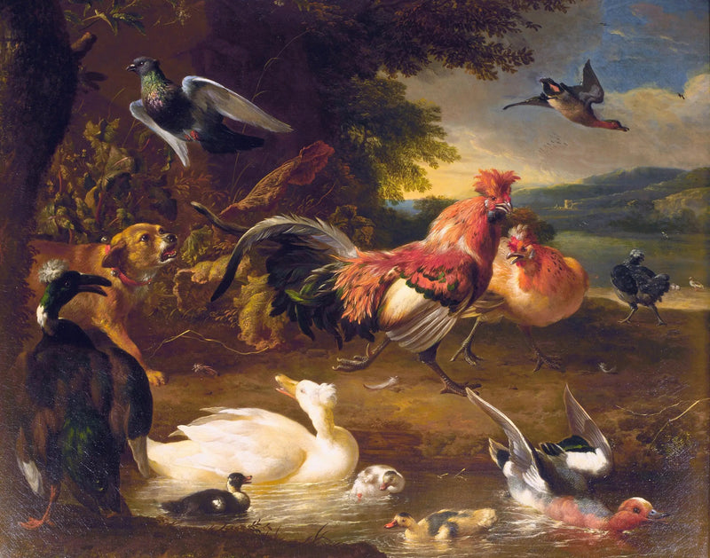 Gallinas y patos - Melchior de Hondecoeter