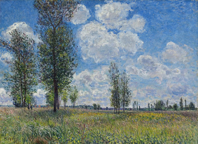 Pradera de Veneux-Nadon - Alfred Sisley