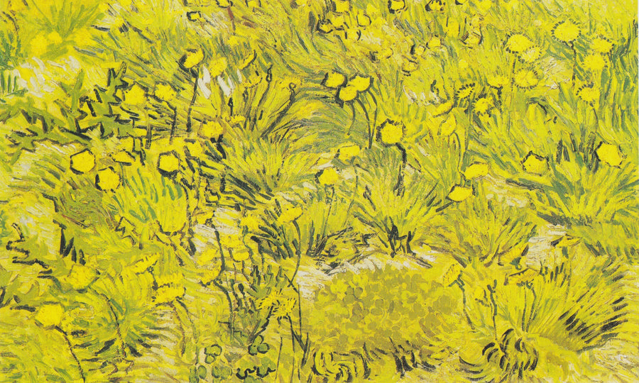 Pradera con flores amarillas - Vincent van Gogh