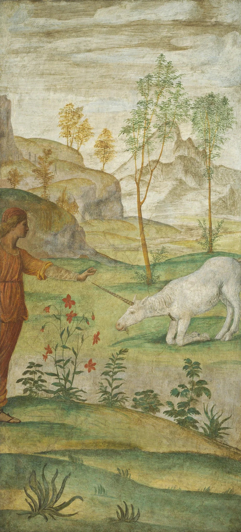 Procris y la Unicornio - Bernardino Luini