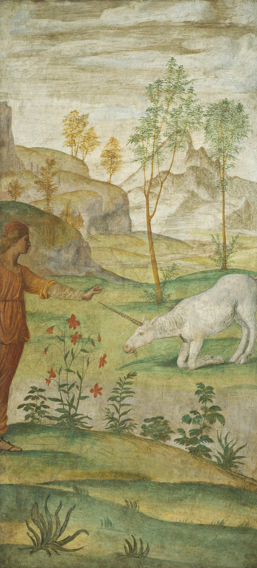 Procris y la Unicornio - Bernardino Luini