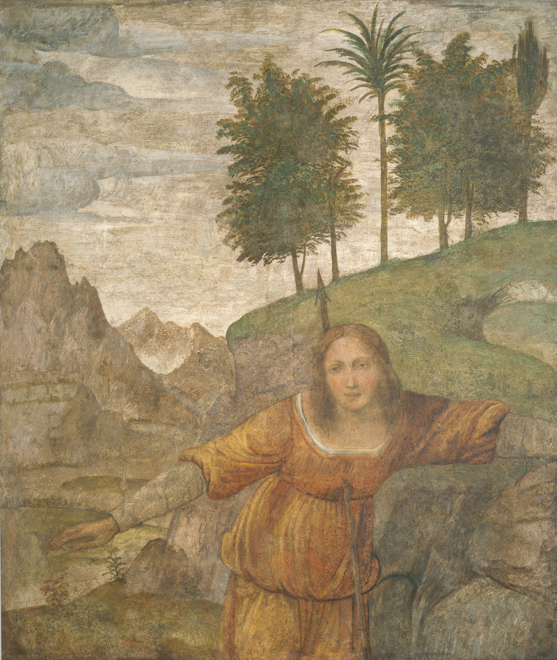 Procris atravesada por la jabalina de Cefalo - Bernardino Luini