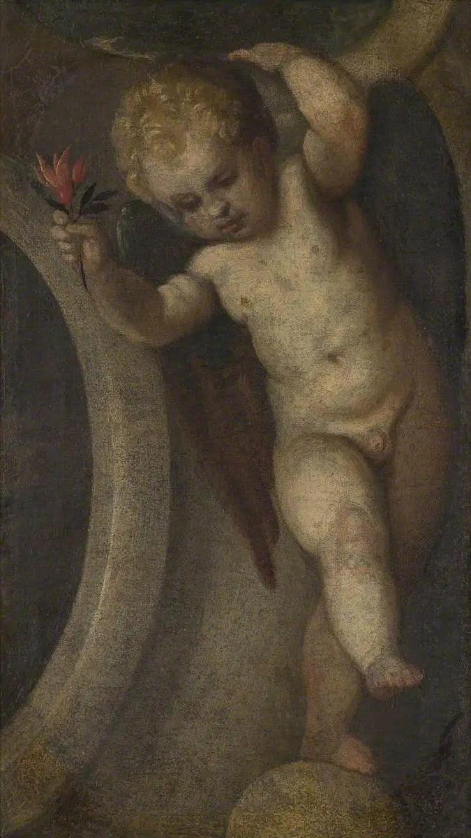 Putto con una flor roja - Paul Véronèse
