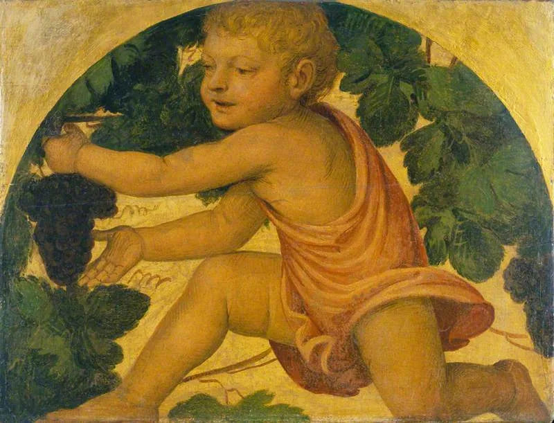 Niño recolectando uvas - Bernardino Luini