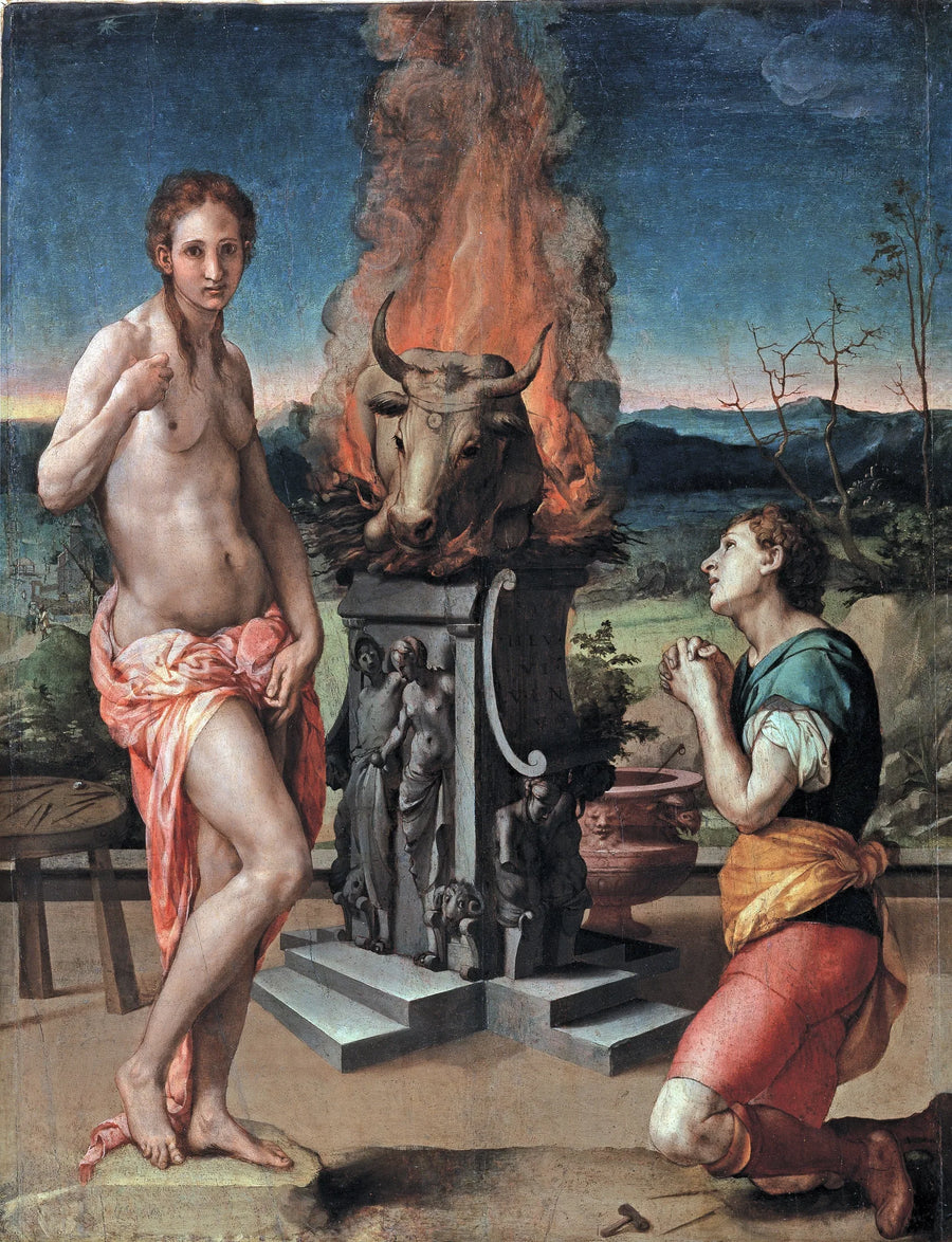 Pygmalion y Galatea - Bronzino