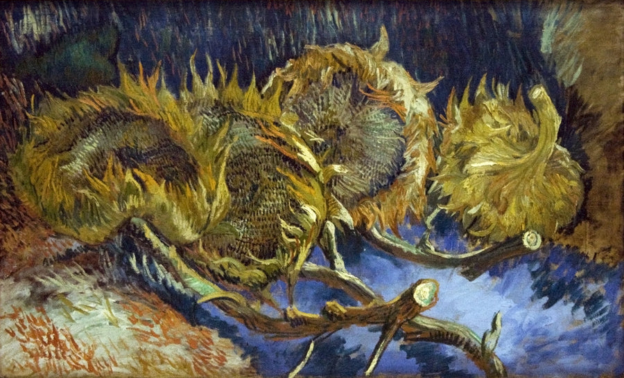 Cuatro girasoles marchitos - Vincent van Gogh