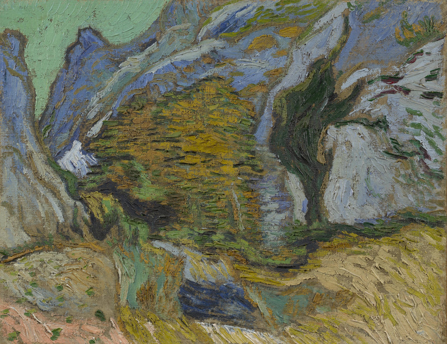 Ravina con un pequeño arroyo - Vincent van Gogh