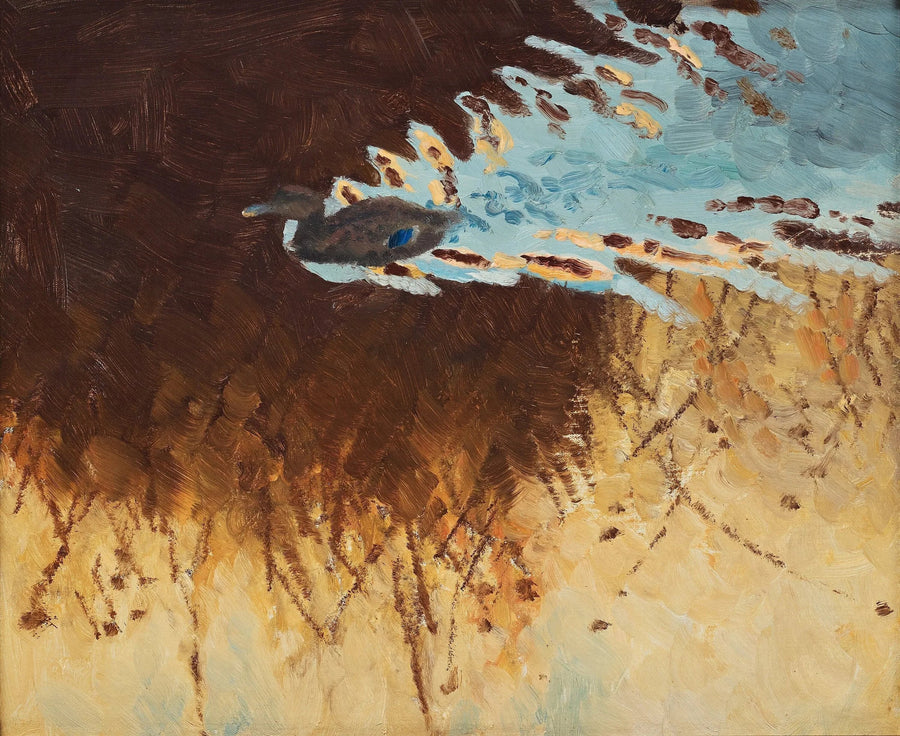 Reflejos de patos y agua - Bruno Liljefors