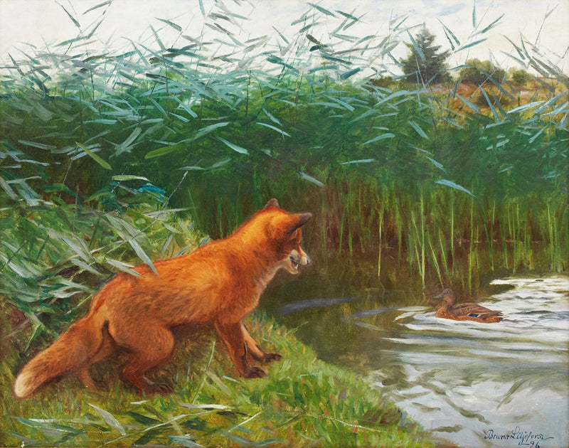 Zorro al acecho - Bruno Liljefors