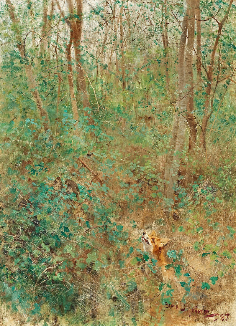 Zorro en busca de zorzales - Bruno Liljefors
