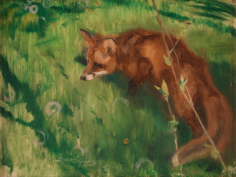 Zorro al acecho, Grez - Bruno Liljefors