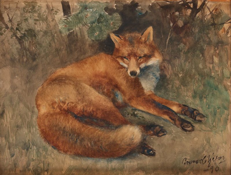 Zorro en reposo - Bruno Liljefors