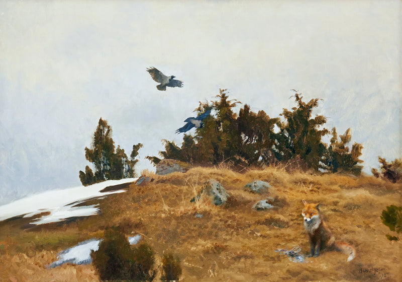 Zorro con su presa y cuervos en un paisaje primaveral-invernal - Bruno Liljefors
