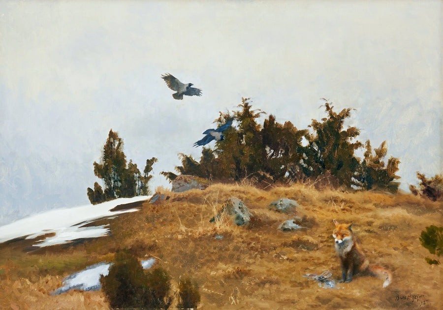 Zorro con su presa y cuervos en un paisaje primaveral-invernal - Bruno Liljefors