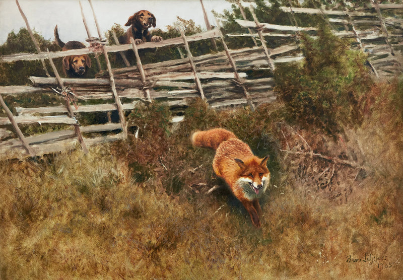Zorro perseguido por perros - Bruno Liljefors