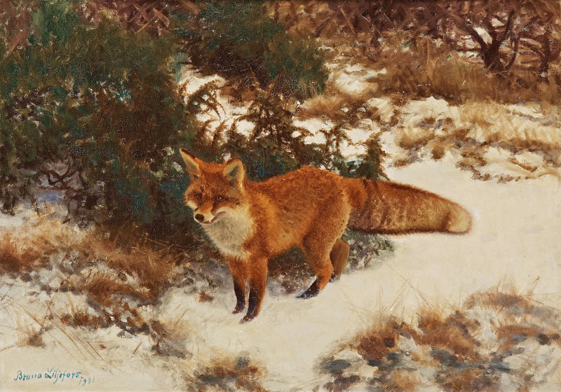 Zorro en el bosque invernal - Bruno Liljefors