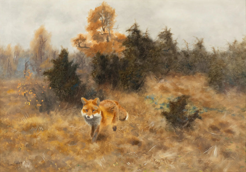Zorro en un paisaje otoñal - Bruno Liljefors