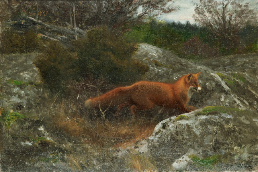 Zorro en un paisaje otoñal - Bruno Liljefors