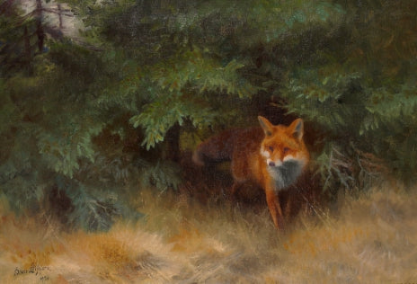 Zorro en un paisaje forestal - Bruno Liljefors