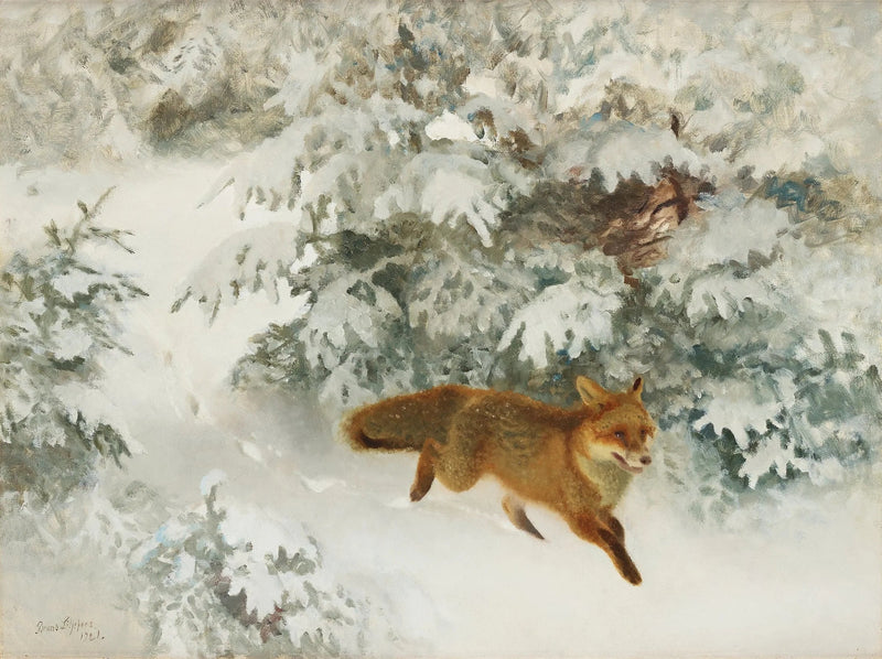Zorro en un paisaje invernal - Bruno Liljefors