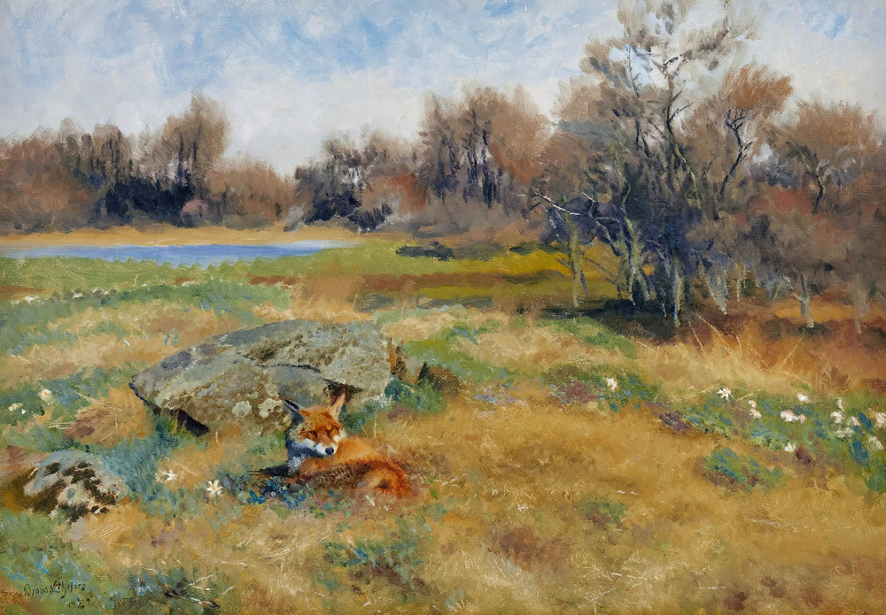 Renard dans une prairie printanière en fleurs - Bruno Liljefors image 1 reproduction réalisée par Alpha Reproduction