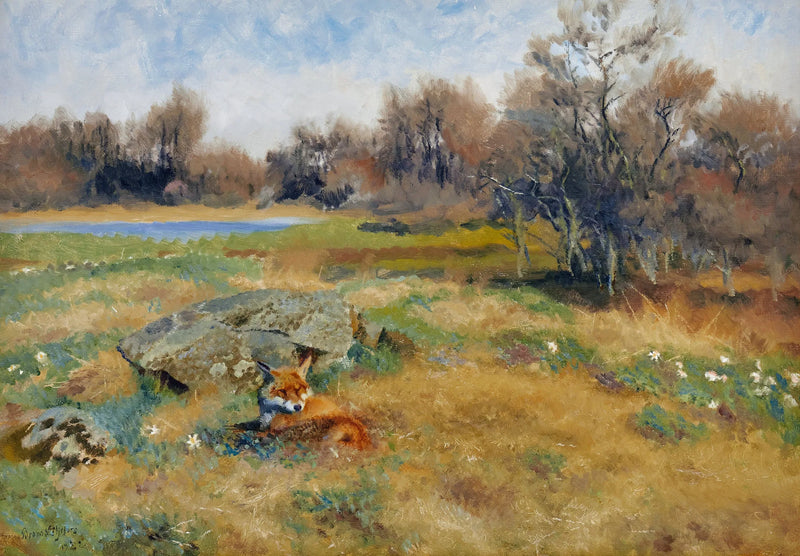 Zorro en un prado florido de primavera - Bruno Liljefors