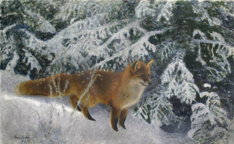 Zorro en invierno - Bruno Liljefors