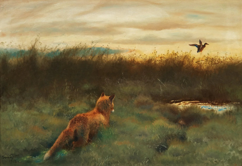 Zorro y pato - Bruno Liljefors