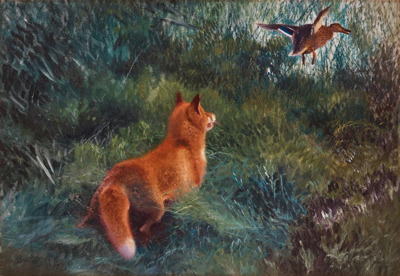 Zorro y pato real - Bruno Liljefors