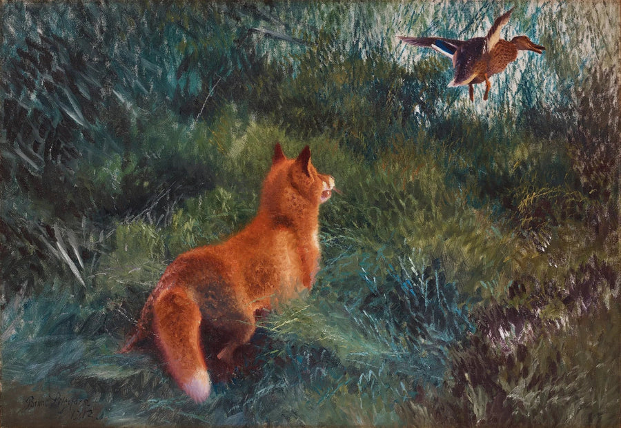 Zorro y pato real - Bruno Liljefors