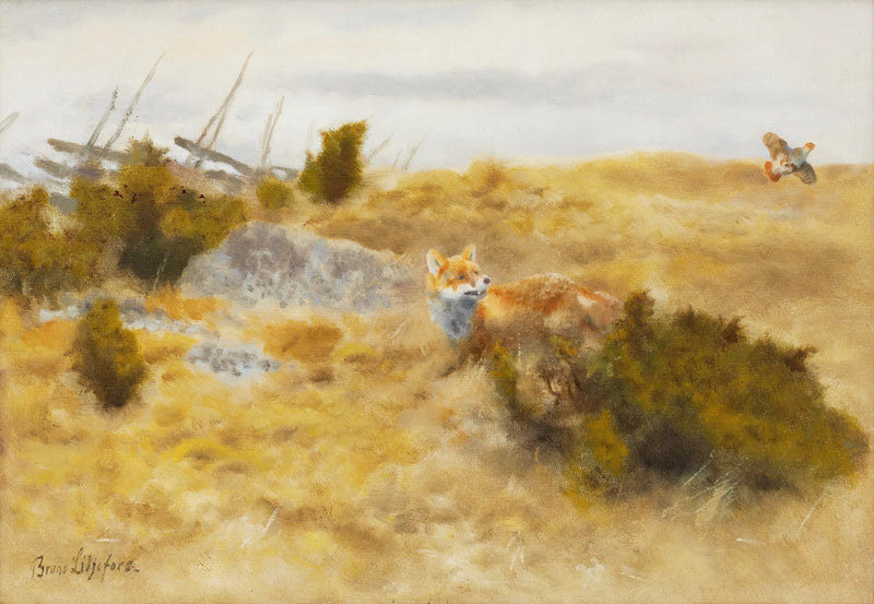 Zorro y perdiz pardilla - Bruno Liljefors