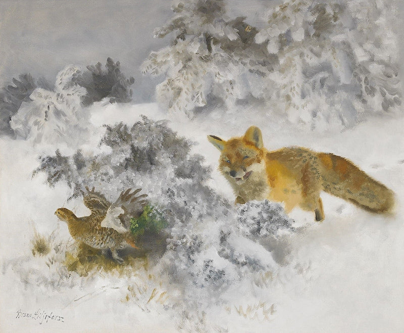 Zorro y gallo lira en un paisaje invernal - Bruno Liljefors