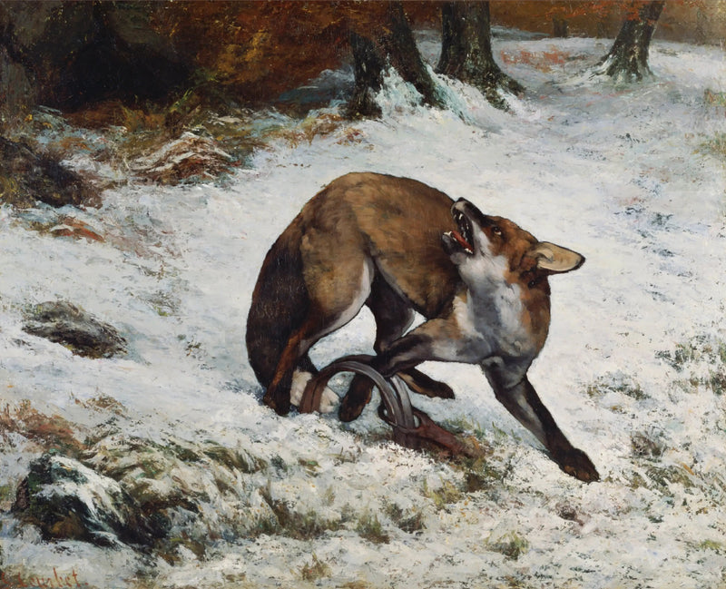 Zorro atrapado en una trampa - Gustave Courbet