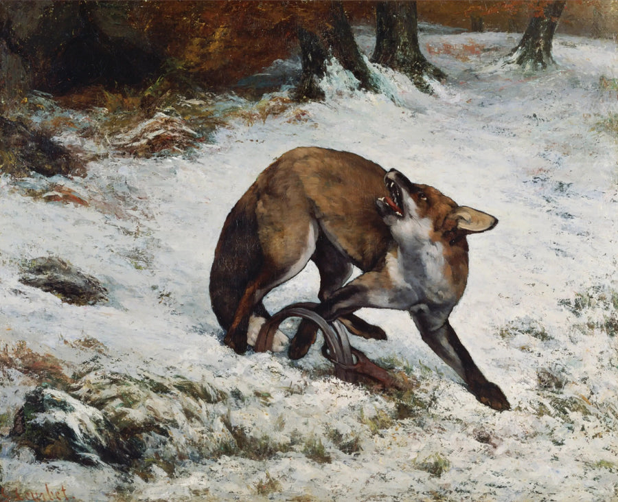 Zorro atrapado en una trampa - Gustave Courbet