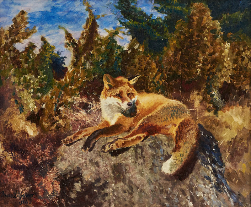 Zorro descansando en un paisaje forestal - Bruno Liljefors