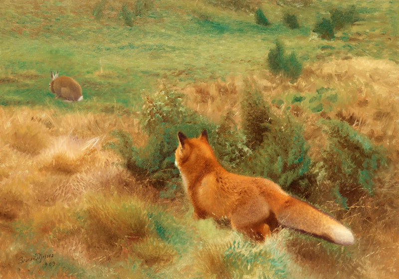 Zorro acechando a una liebre - Bruno Liljefors