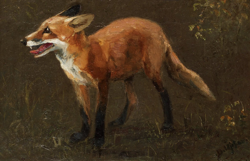 Cachorro de zorro - Bruno Liljefors
