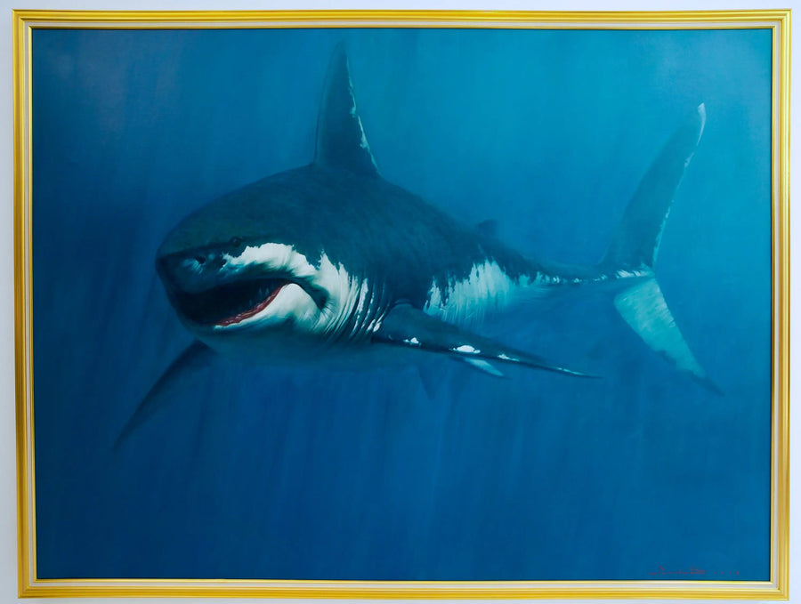 Tiburón | 150 x 200 cm