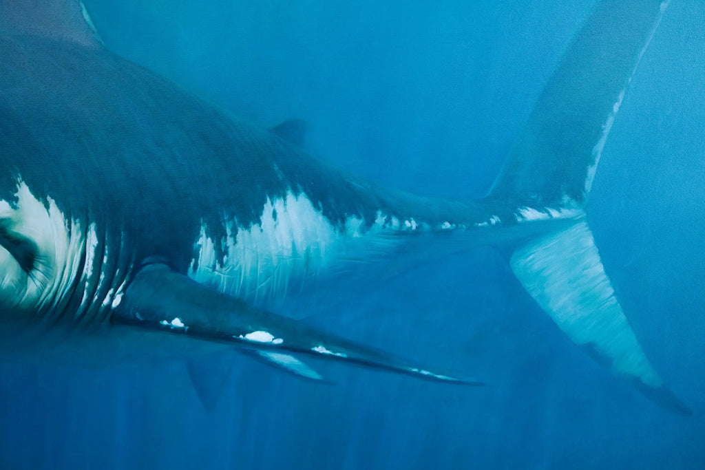 Requin | 150 x 200 cm Reproductions de tableaux à la peinture à l’huile
