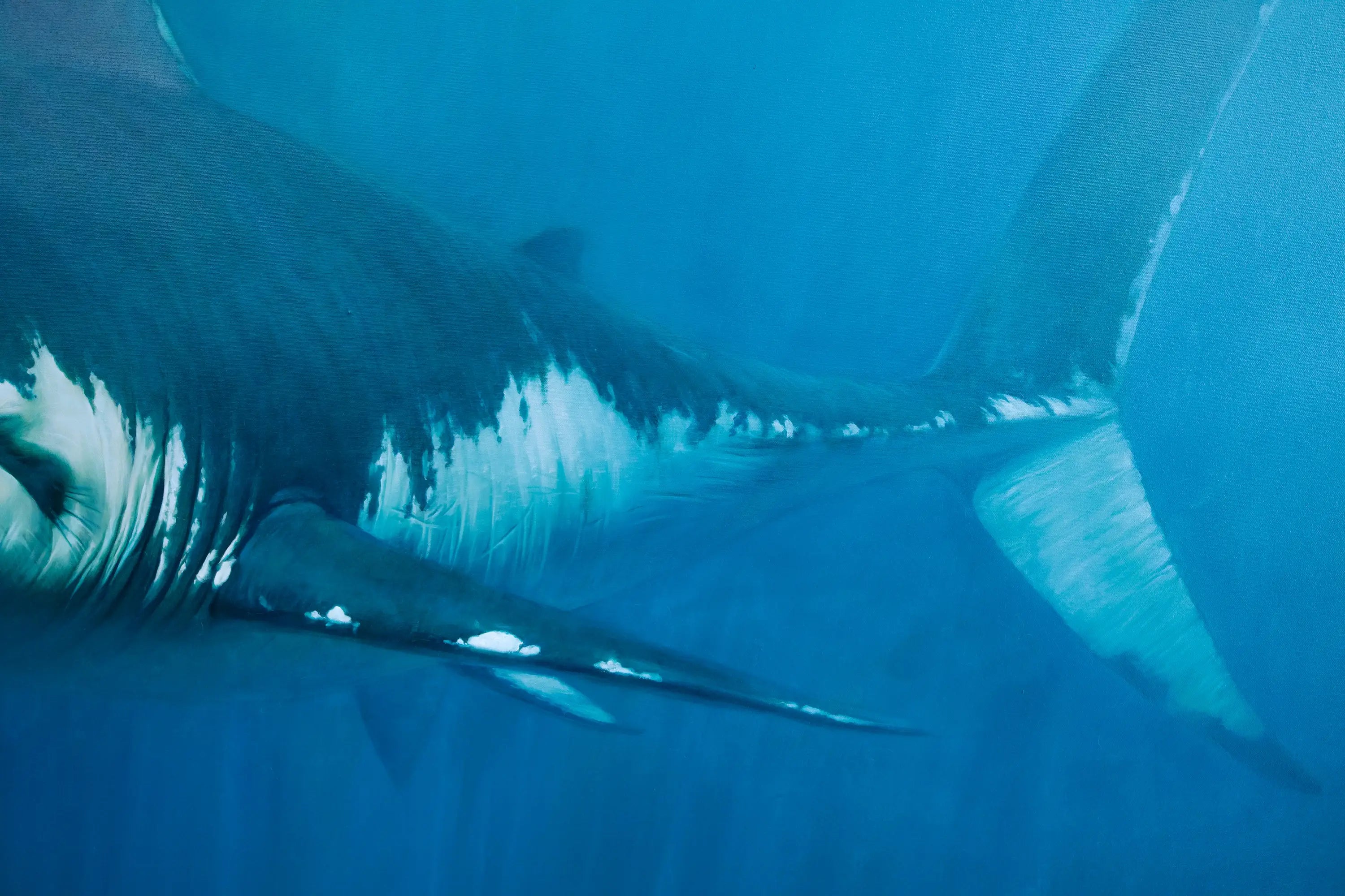 Requin | 150 x 200 cm Reproductions de tableaux à la peinture à l’huile